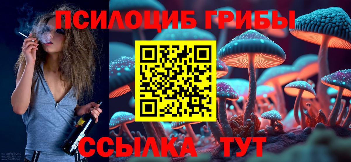 Новосибирск  Псилоцибиновые грибы мухоморы  Вход с VPN 