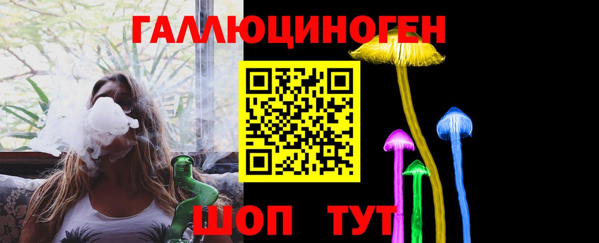 Галлюциногенные грибы Psilocybe Новосибирск